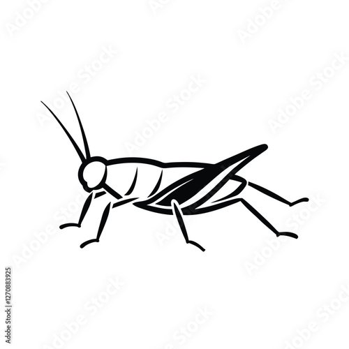 locust isolated on white background
