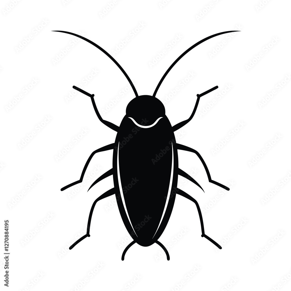 black beetle isolated on white background black beetle isolated on white background