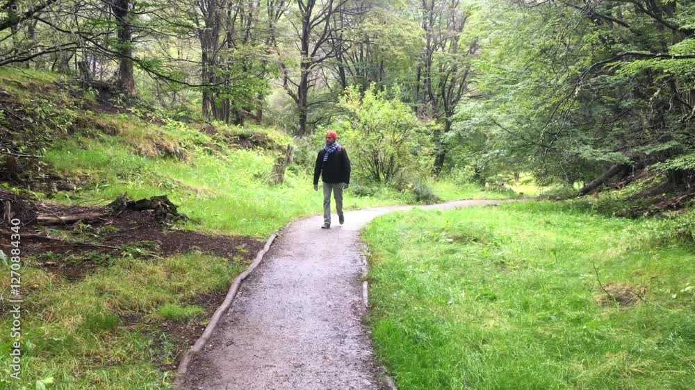 Latin backpacker tourist with red hat and backpack walking on a path in a forest in Ushuaia, Tierra del Fuego, Argentina, enjoying nature and discovering the local flora Latin backpacker tourist with red hat and backpack walking on a path in a forest in Ushuaia, Tierra del Fuego, Argentina, enjoying nature and discovering the local flora