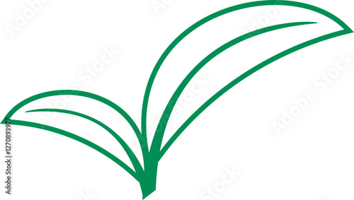 Elegant Line Art Botanical Illustration