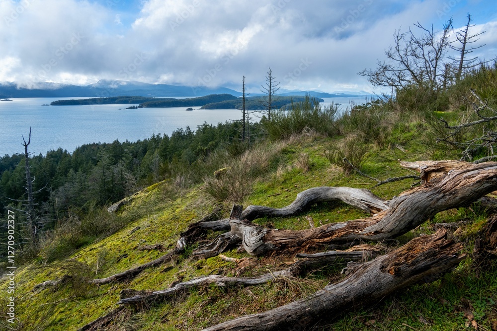 View from George Hill Regional Park, Pender Island, Southern Gulf Islands, BC, Canada View from George Hill Regional Park, Pender Island, Southern Gulf Islands, BC, Canada