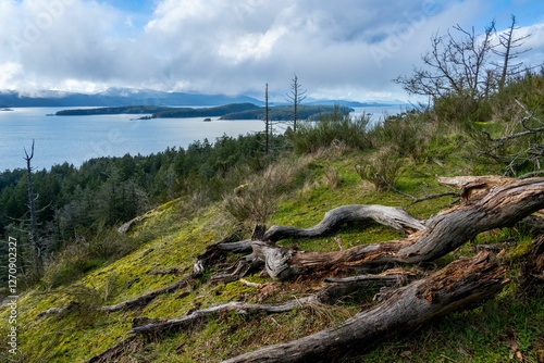 View from George Hill Regional Park, Pender Island, Southern Gulf Islands, BC, Canada