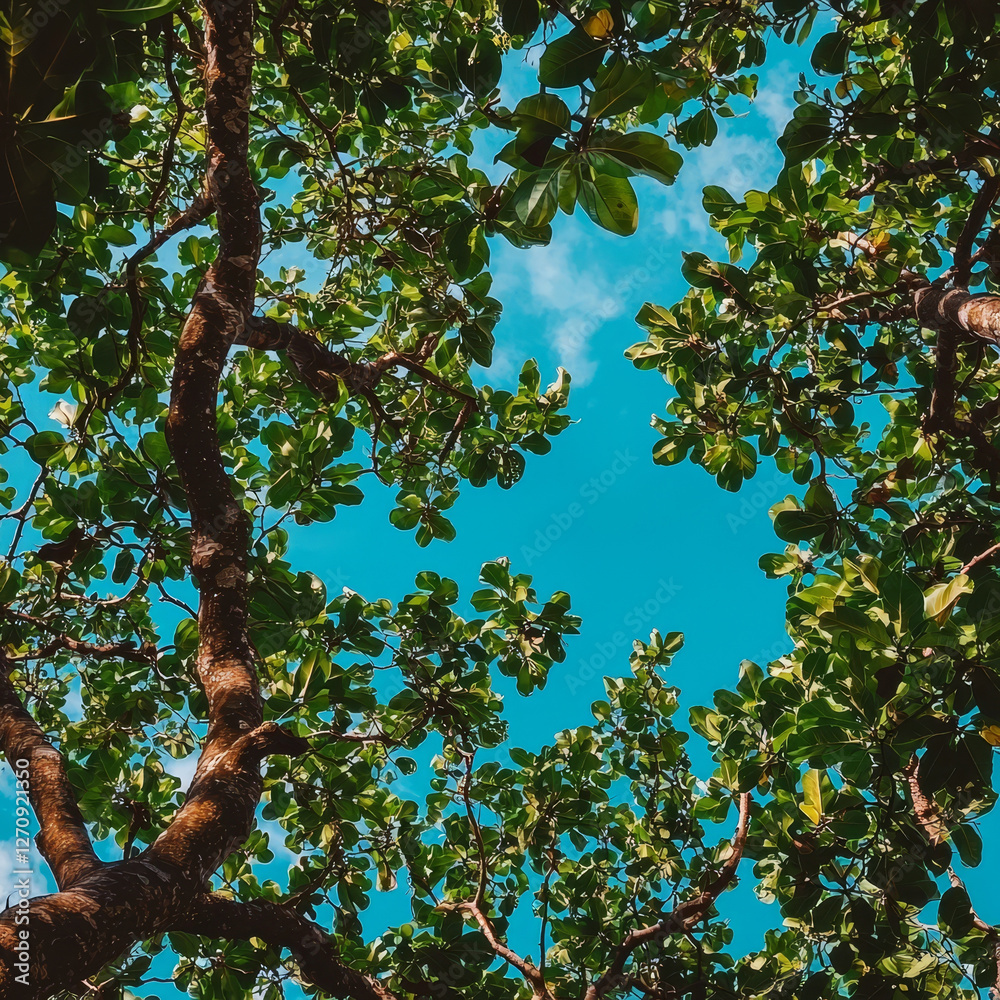 Fototapeta premium Looking up through lush green canopy into a vibrant blue sky