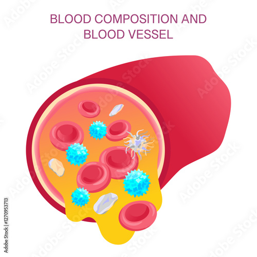 Blood Composition and Vessel. Vector medical illustration of red and white blood cells, platelets, plasma, and circulatory system.