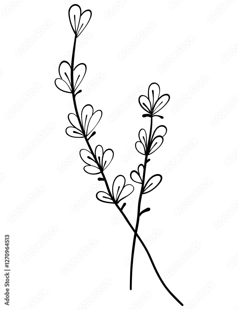 tiny wild flowers and plants line art botanical illustrations. Trendy greenery hand draw lines black ink sketches. vector illustration tiny wild flowers and plants line art botanical illustrations. Trendy greenery hand draw lines black ink sketches. vector illustration
