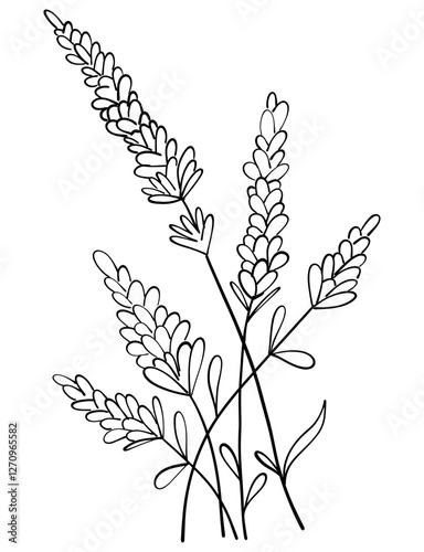 tiny wild flowers and plants line art botanical illustrations. Trendy greenery hand draw lines black ink sketches. vector illustration
