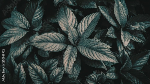 Vibrant Plant Leaves: Natural Beauty in Green, Blue & Yellow