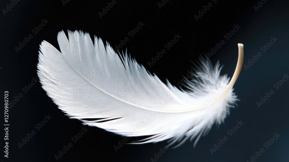Close-up of a single white feather slowly descending against a pitch-black background. Close-up of a single white feather slowly descending against a pitch-black background.