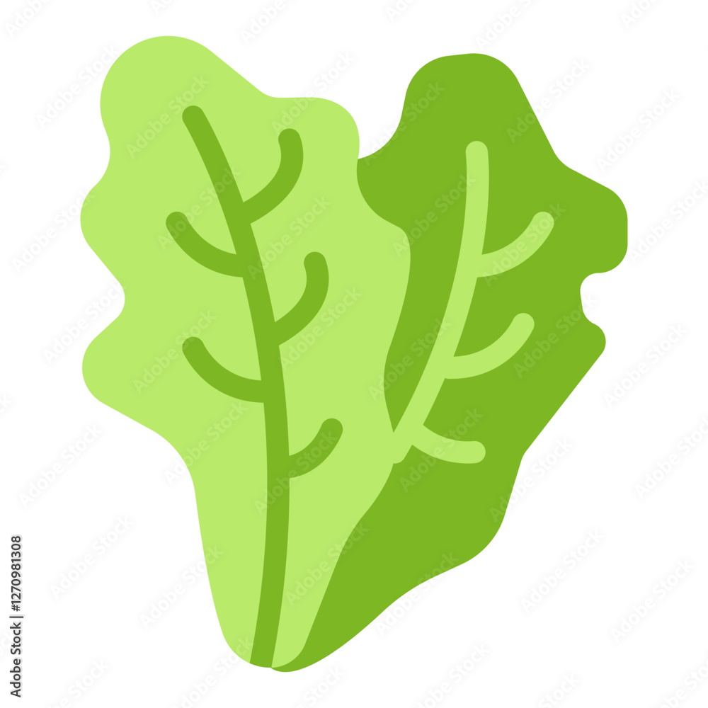 Fototapeta premium Romaine Lettuce Vector Design Icon Style