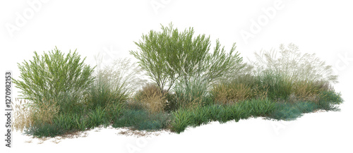 green grass on white background