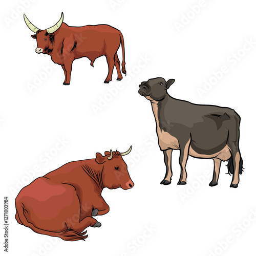 various varieties of cows with separate white background