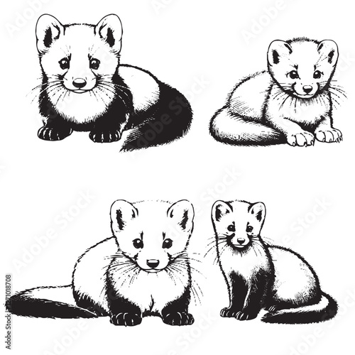 Black and White Illustrations of Weasel-Like Animals in Various Poses