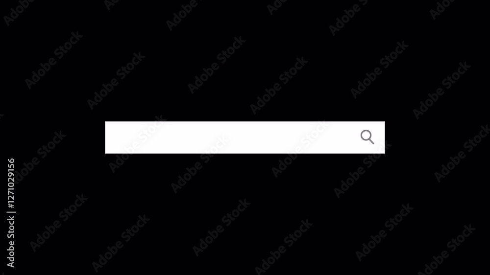 Animated search bar with alpha channel, Internet browsing search bar button animation, Search bar animated with magnify glass icon Animated search bar with alpha channel, Internet browsing search bar button animation, Search bar animated with magnify glass icon