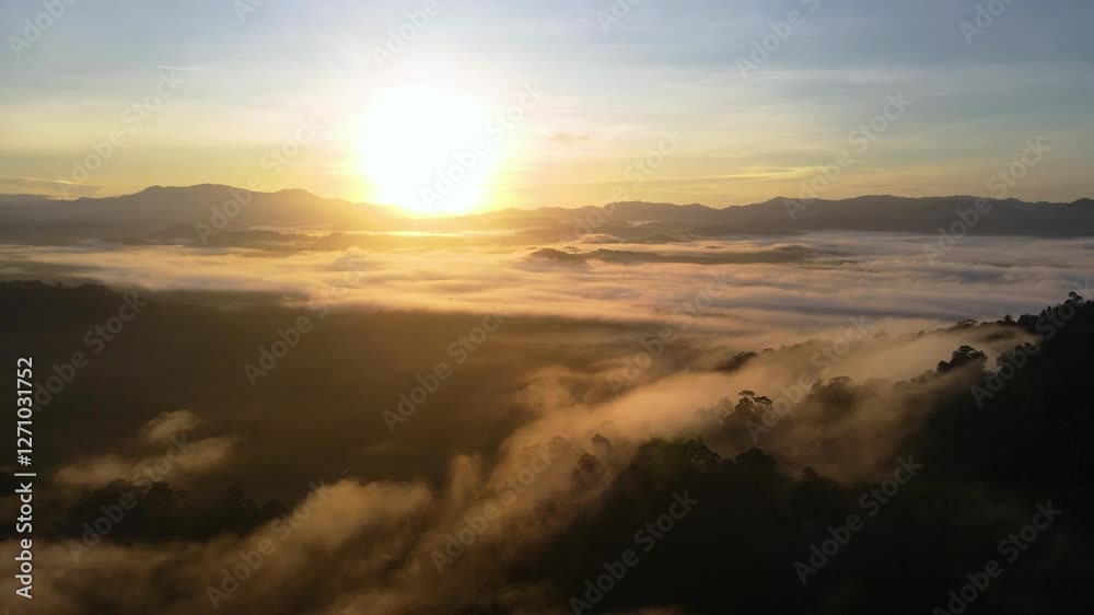 aerial view of the forest with the sun behind the mist all around, colored autumnal trees in the morning light aerial view of the forest with the sun behind the mist all around, colored autumnal trees in the morning light