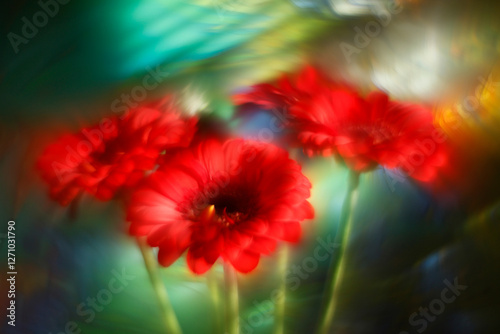 Soft focus Red gerbera flowers on a green and blue blurred background. Postcard for the holiday . The concept of the celebration