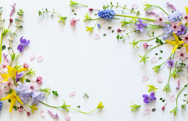wild spring flowers on white paper background