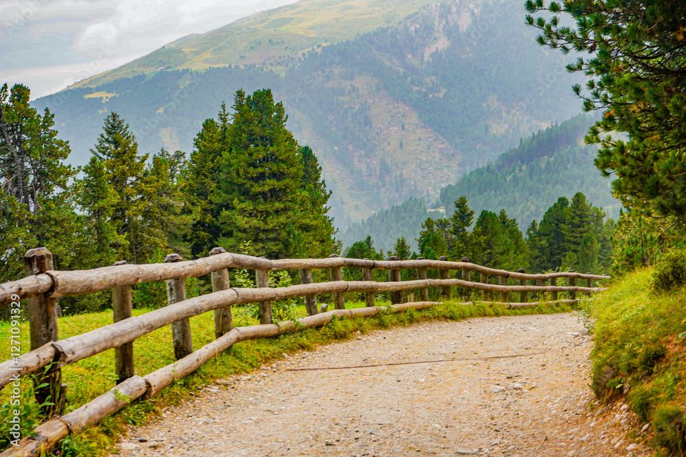 Fototapeta premium mountain road in the alps