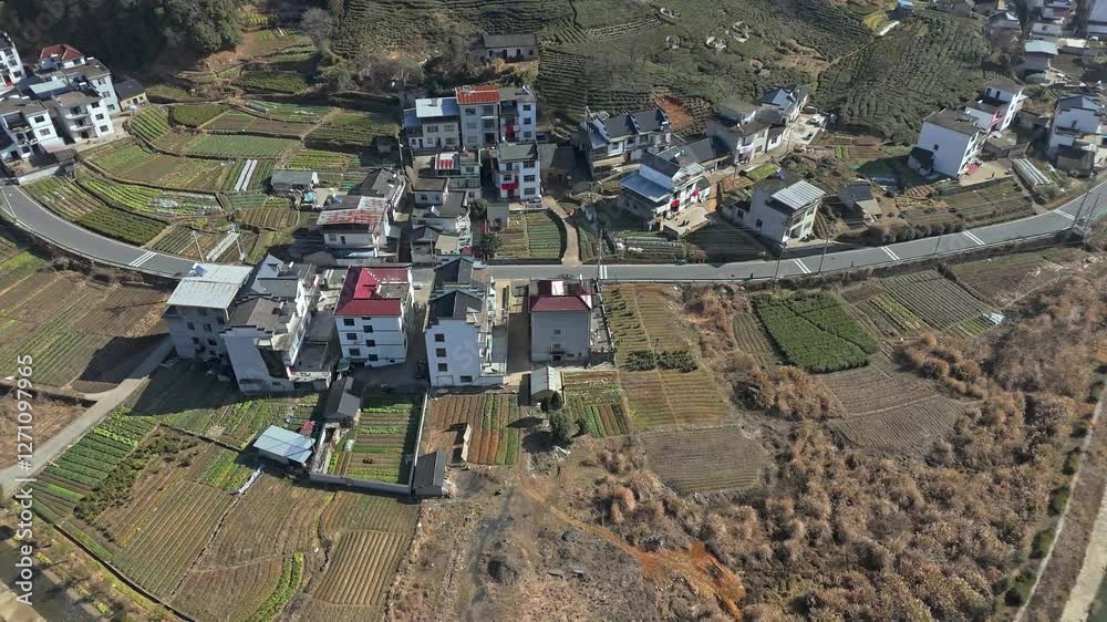 Houses with fields by rural roads River view Houses with fields by rural roads River view