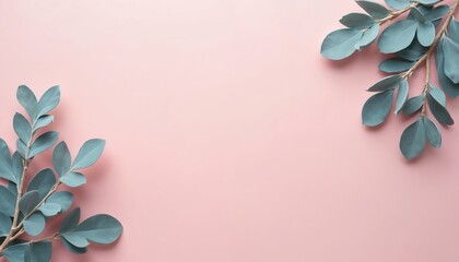 Dusty blue eucalyptus leaves on pink background. Elegant botanical foliage design. Minimal simple aesthetic, floral plants texture. Delicate soft subtle colors create beauty, calm, peaceful relaxing
