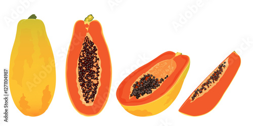 Papaya slice set. Hand drawn tropical fruit. 