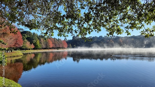 outono em são francisco de paula, rio grande do sul 