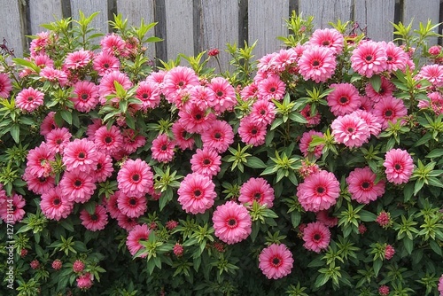 Beautiful spring garden.