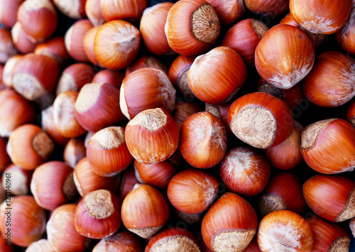 Hazelnut, close-up. Background of brown nuts closeup. Many hazelnuts close up. Nut background. Forest nuts, backgroung closeup.