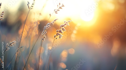 Wallpaper Mural Golden hour sunlight shining through waving grass creating a beautiful serene landscape : Generative AI Torontodigital.ca