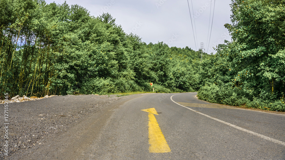Winding road going through green forest with yellow arrow indicating right forward direction Winding road going through green forest with yellow arrow indicating right forward direction