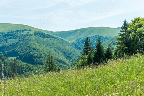 Mountain View near Pilipets Village, Carpathians: Sunny Summer Day