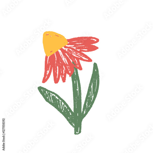 Echinacea flower crayon drawn. Spring plant doodle isolated on white background. Summer floral kids element. Chalk or pastel style childish scrawl wildflower shape. Vector naive illustration by pencil