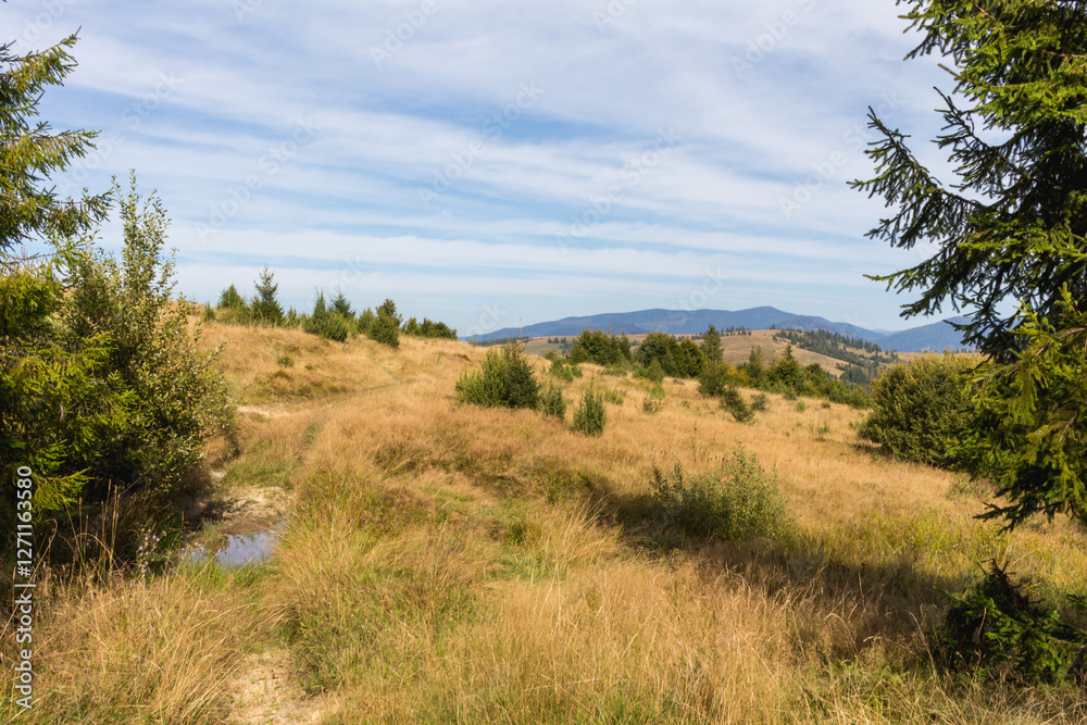 Autumnal Splendor: Carpathian Mountains in Early Fall Autumnal Splendor: Carpathian Mountains in Early Fall