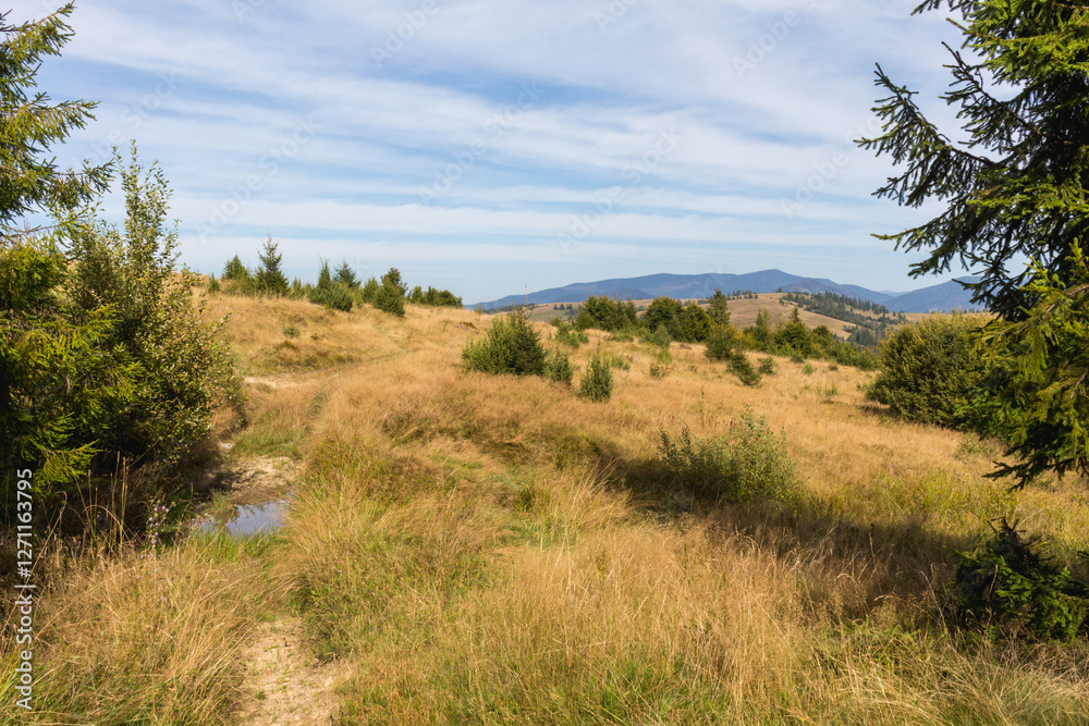 Autumnal Splendor: Carpathian Mountains in Early Fall Autumnal Splendor: Carpathian Mountains in Early Fall