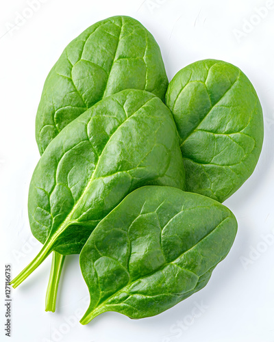 Fresh spinach leaves on a white background, for healthy recipes and diet ideas
