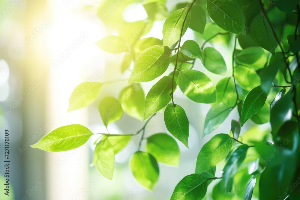 A detailed view of a plant's foliage, ideal for use in botanical or nature-themed contexts A detailed view of a plant's foliage, ideal for use in botanical or nature-themed contexts