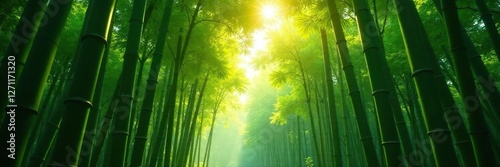 Bamboo grove with sunlight filtering through the leaves, forest, foliage