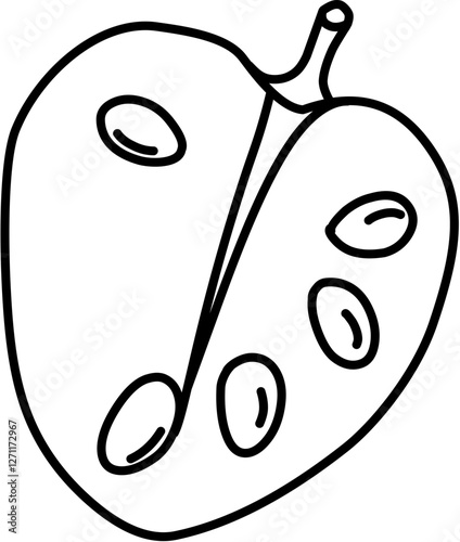 Fruit. Hand drawn vector isolated doodle. Cherimoya 