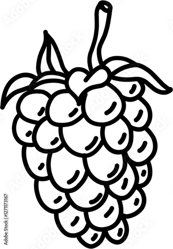 Fruit. Hand drawn vector isolated doodle. Blackberry 