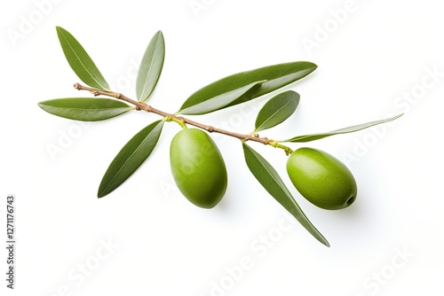 Wallpaper Mural Two green olives on an isolated olive branch white background Torontodigital.ca
