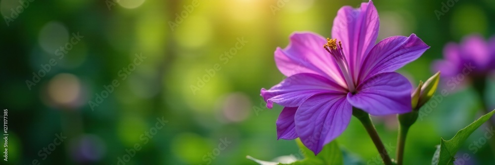 Exotic purple flower blooms in lush green garden, nature, flora, botanicals Exotic purple flower blooms in lush green garden, nature, flora, botanicals
