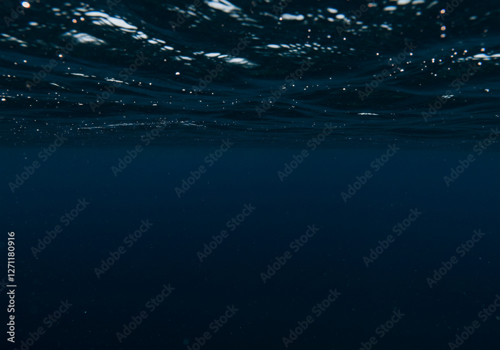 Obraz premium Ocean Depth: An Underwater Perspective