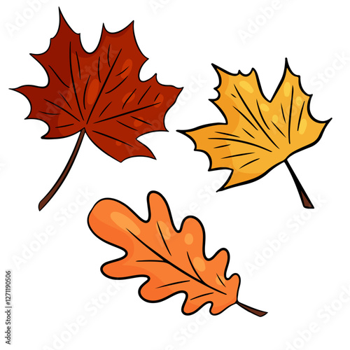 Three fall leaves. Maple and oak leaves in shades of red, yellow and orange. Vector illustration doodle style.