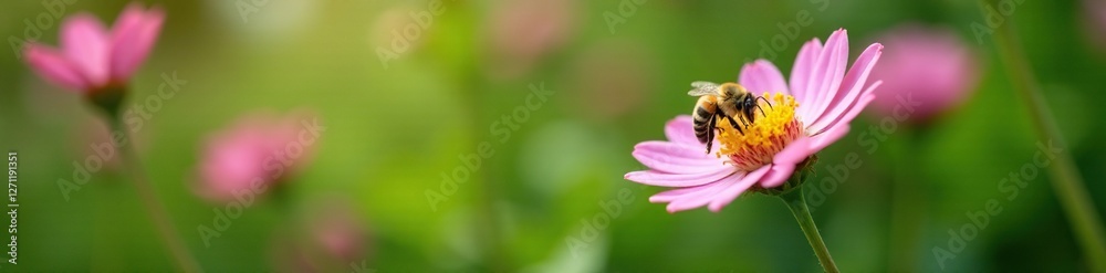 A single bee collects nectar from a delicate pequi flower amidst lush foliage, garden, caryocar A single bee collects nectar from a delicate pequi flower amidst lush foliage, garden, caryocar
