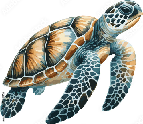 Watercolor Vector Illustration of a Sea Turtle