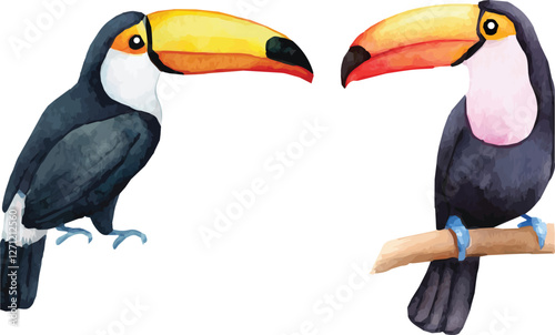 Vector watercolor illustrated set of two toucan birds