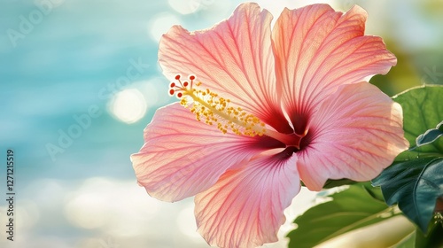 Wallpaper Mural Pink Hibiscus Floating on sea near beach and sand,Summer season,holiday tropical concept,summer pool party,copy space. Torontodigital.ca