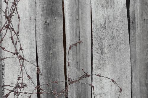 Old aged weathered natural grey wooden shack wall, vertical boarding planks, large textured rustic grungy horizontal taupe barbwires background closeup, rusty broken barbed wires pattern dirty wreck photo