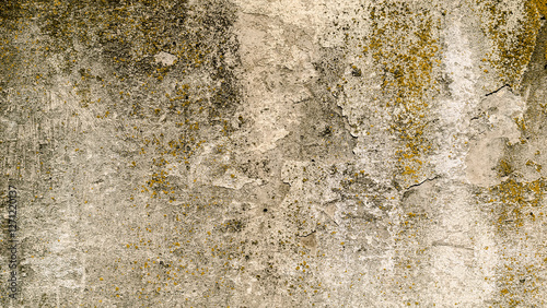 Wallpaper Mural texture old concrete wall with remnants of plaster Torontodigital.ca