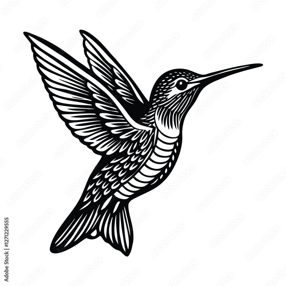Obraz premium Engraving style hummingbird Vector Illustration 