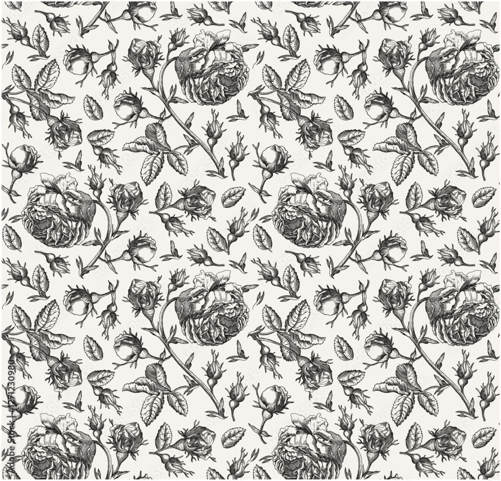 Fototapeta premium Seamless pattern. Beautiful pink blooming realistic isolated flowers. Vintage background. Set Roses wildflowers. Wallpaper. Drawing engraving. Vector victorian Illustration